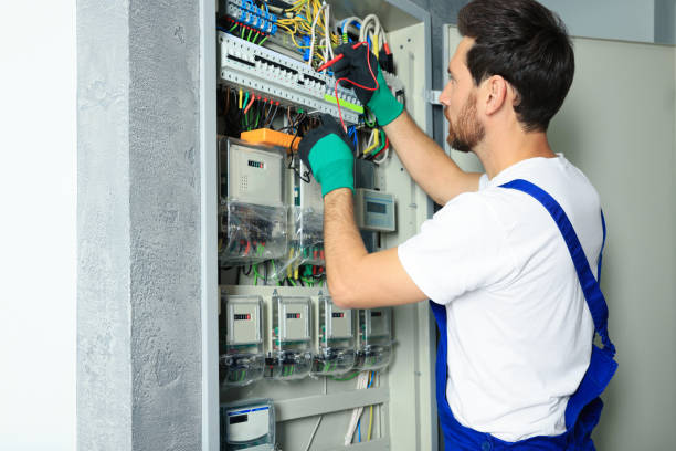 Best Home Electrical Repair  in Avonia, PA